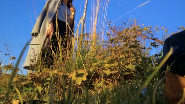 Κορίτσι σε ένα παλτό στο πάρκο εξετάζει ξηρά άγριο χόρτο το φθινόπωρο — Αρχείο Βίντεο