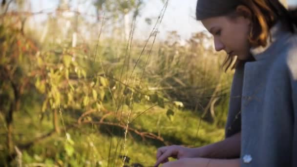 Jeune adolescente regardant l'herbe séchée dans le parc par une journée ensoleillée — Video