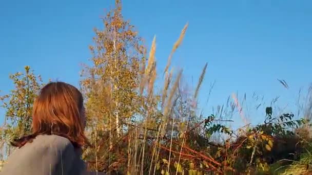 Menina adolescente em um casaco cinza caminha até as orelhas de grama seca e olha para eles em um dia ensolarado — Vídeo de Stock