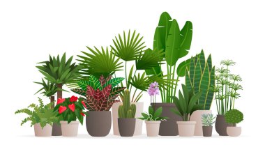 Collection of houseplants for web banner. Potted plants on an is clipart