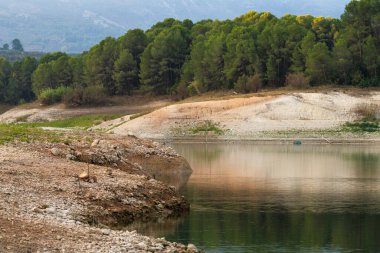 Beniarres, İspanya 'da bir çam ormanında bir göl manzarası