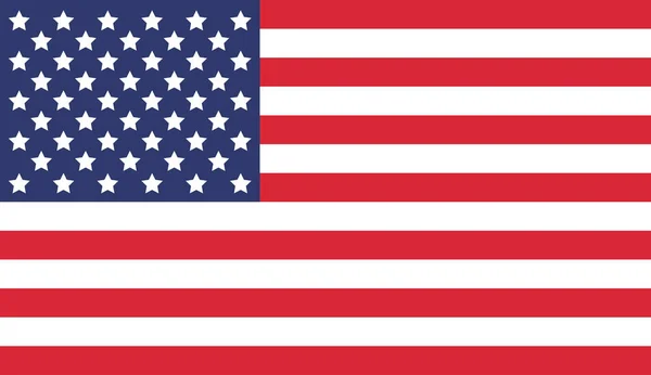 National United States America Usa Flagge Vektorillustration — Stockvektor