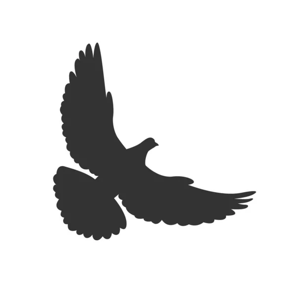 Голубь Летает Символическая Птица Белом Фоне Векторная Иллюстрация — стоковый вектор