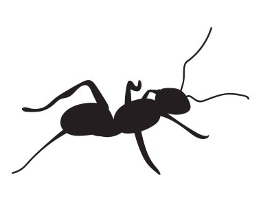 Karınca siluetinin vektör illüstrasyonu 
