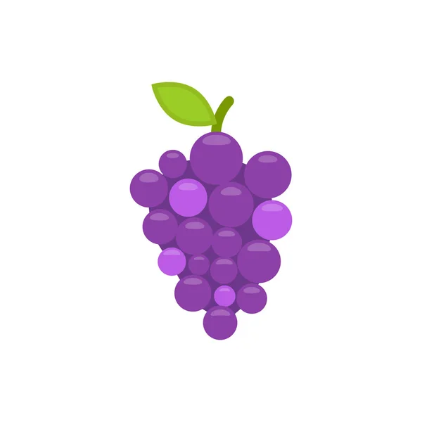 Colorful Grapes Icon Vector Illustration Flat Design — Stock Vector