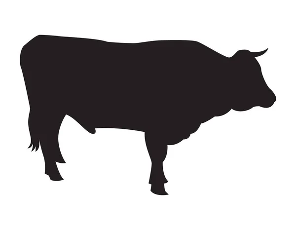 Απεικόνιση Διάνυσμα Αγελάδας — Διανυσματικό Αρχείο