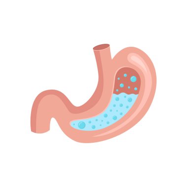 zayıf mide vektör illüstrasyon