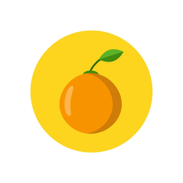 Illustrazione Vettoriale Arancione — Vettoriale Stock