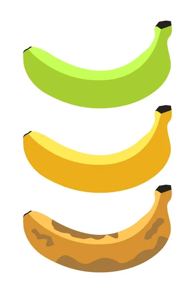 Vector Illustration Three Bananas — Stock Vector