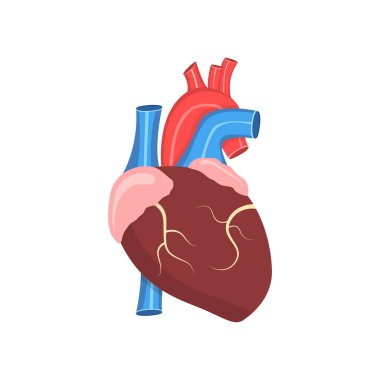 zayıf insan kalbinin vektör illüstrasyon 