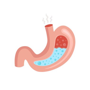 zayıf mide vektör illüstrasyon