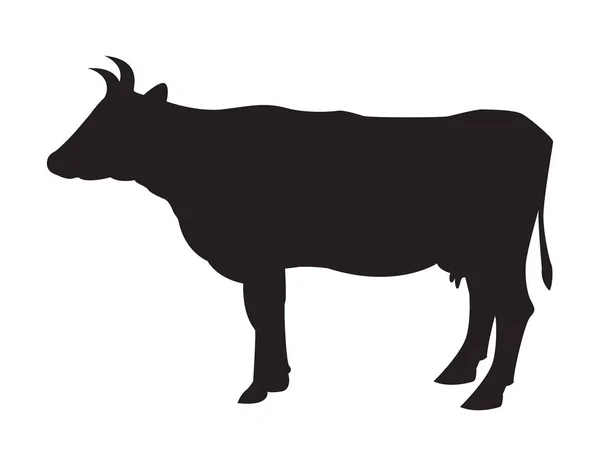 Ilustração Vetorial Shioulette Vaca —  Vetores de Stock