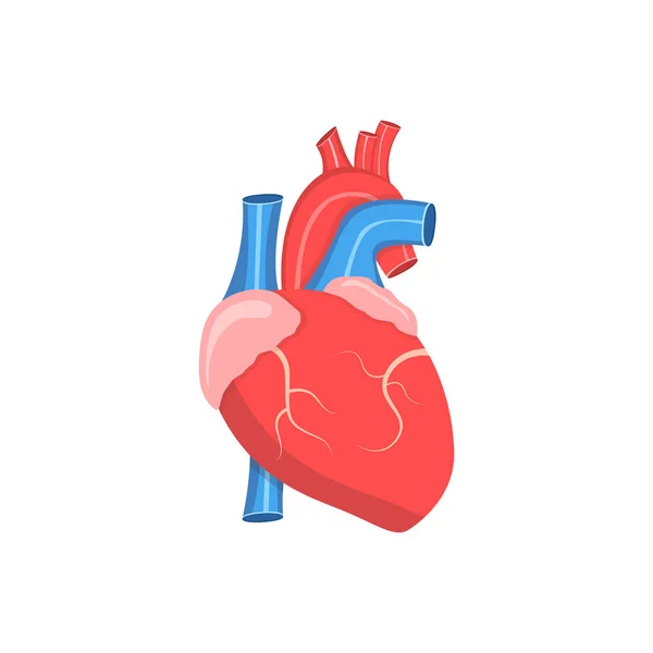 Illustrazione Vettoriale Del Cuore — Vettoriale Stock