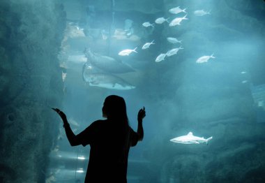 Oceanarium sualtı dünya kadın bakar
