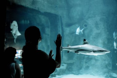 Oceanarium sualtı dünya kadın bakar