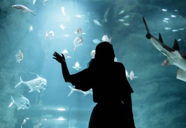 Oceanarium sualtı dünya kadın bakar