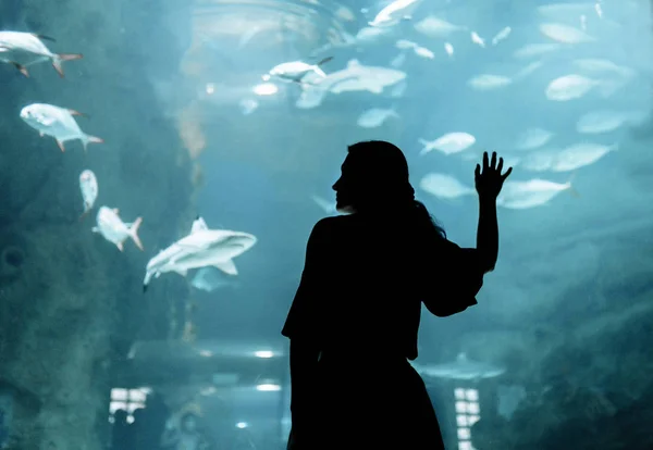 Oceanarium sualtı dünya kadın bakar
