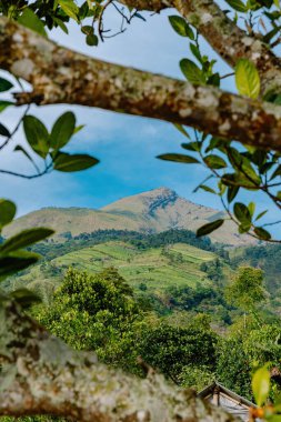Orta Java, Endonezya 'daki Merbabu Dağı' nın görkemli zirvesi, açık mavi gökyüzüne karşı yemyeşil yapraklarla güzel çerçevelenmiş.