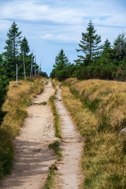 Çek Cumhuriyeti 'nin Labska louka kentindeki Krkonose (Dev Dağ) manzarasında Maly Sniezny Kociol tepesi.