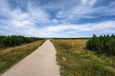 Çek Cumhuriyeti 'nin Labska louka kentindeki Krkonose (Dev Dağ) manzarasında Maly Sniezny Kociol tepesi.