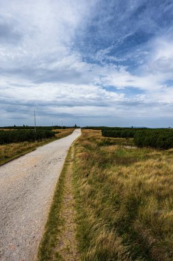 Çek Cumhuriyeti 'nin Labska louka kentindeki Krkonose (Dev Dağ) manzarasında Maly Sniezny Kociol tepesi.