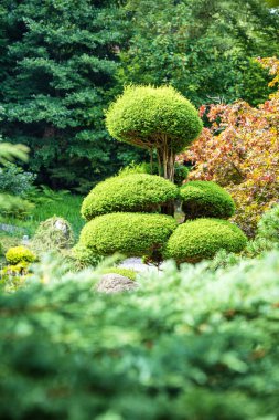 Polonya 'nın Karpacz kentindeki Siruwia Japon Bahçesi' nde güzel düzenlenmiş ve sergilenmiş huzurlu zen bahçesi.