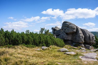 Karkonosze Dağları 'ndaki Szrenica Dağı' nın, dev dağların, Polonya 'nın yaz manzarası.
