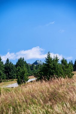Karkonosze Dağları 'ndaki Szrenica Dağı' nın, dev dağların, Polonya 'nın yaz manzarası.