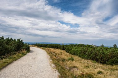 Karkonosze dağlarının manzarası Polonya 'da Szrenica Tepesi' nin aşağısında dağ çam ağaçlarıyla kaplı tepelerle sınırların yakınında yürüyüş parkurlarından, birkaç kaya oluşumundan ve taşlardan oluşuyor.