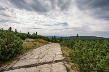 Karkonosze dağlarının manzarası Polonya 'da Szrenica Tepesi' nin aşağısında dağ çam ağaçlarıyla kaplı tepelerle sınırların yakınında yürüyüş parkurlarından, birkaç kaya oluşumundan ve taşlardan oluşuyor.