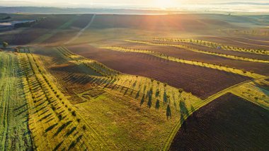 Yaz sonlarının güzel manzarası, tarlaları, tepeleri ve günbatımı. Çek Cumhuriyeti - Güney Moravya (Moravya Tuscany) Tarım, seyahat, çevre ve doğa kavramı. Drone görünümü.