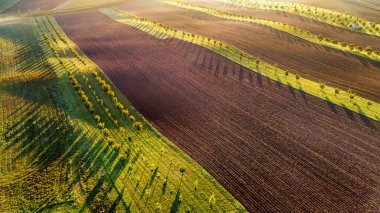 Yaz sonlarının güzel manzarası, tarlaları, tepeleri ve günbatımı. Çek Cumhuriyeti - Güney Moravya (Moravya Tuscany) Tarım, seyahat, çevre ve doğa kavramı. Drone görünümü.