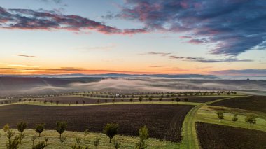 Beautiful landscape at sunrise, field, farmland, sunrise, colorful landscape, Bio belts. South Moravia, Czech republic. Aerial view.