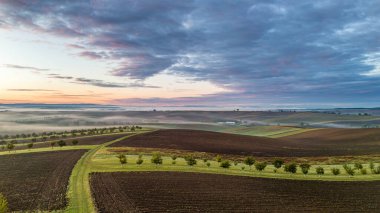 Beautiful landscape at sunrise, field, farmland, sunrise, colorful landscape, Bio belts. South Moravia, Czech republic. Aerial view.