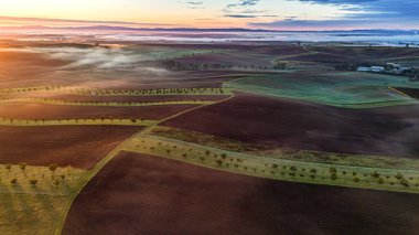 Moravya Tuscany 'deki ağaçlık alanda. Güney Moravya 'nın tarım arazisinde güzel bir gün doğumu. İHA 'dan hava görüntüsü. Çek Cumhuriyeti