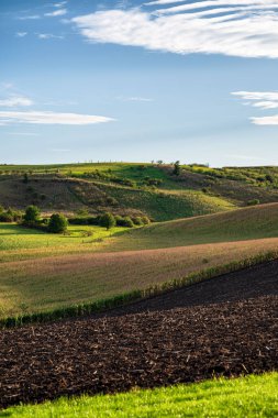 Yazın sonlarında Güney Moravya 'nın güzel manzarası. Üzüm hasadı başlıyor..