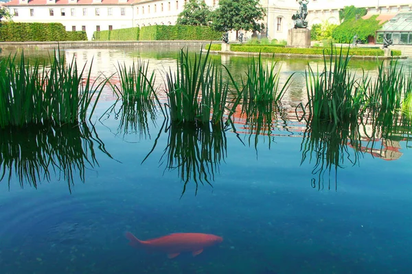 プラハ チェコ共和国 2018年8月27日 噴水の魚 プラハのヴァレンシュタイン庭園 チェコ共和国プラハ — ストック写真