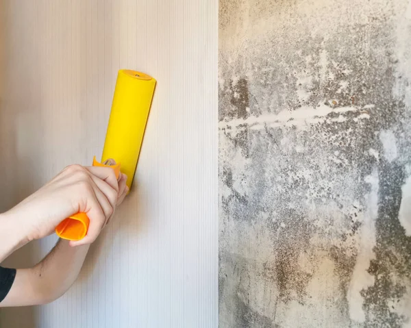Tool, roller for smoothing wallpaper yellow. Paint roller with a red handle and a yellow smooth nozzle on a light background. Wallpapering in the apartment.