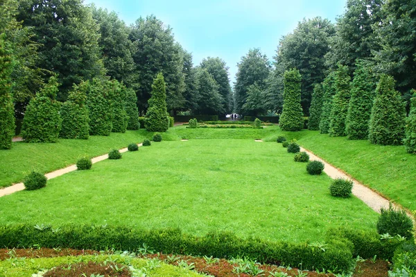 Vista Hermoso Parque Verde Con Árboles Césped Viena Austria —  Fotos de Stock