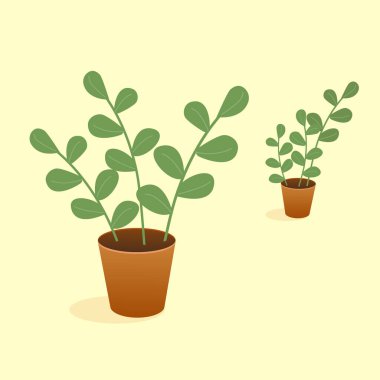 Çiçek saksısında, hatları olmayan renkli bir siluet. Tebrik kartı, menü, pankart, etiket, reklam, poster için bitki ve ekoloji tasarımı. Düz vektör illüstrasyonu: bir çömlekte ev yapımı çiçek