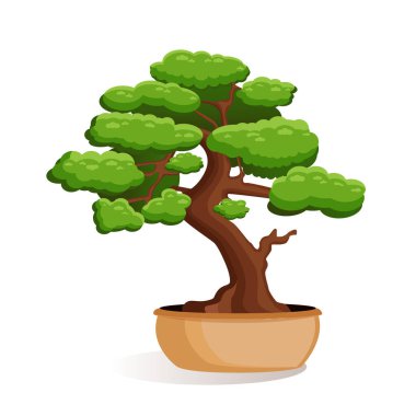 Bonsai ağacının beyaz izole bir arka plandaki bir çömlekteki vektör çizimi. Ev minyatür bonsai bitkisi. Reklam, web sitesi, logo, afiş, kartpostal, oyun, menü, uygulama.