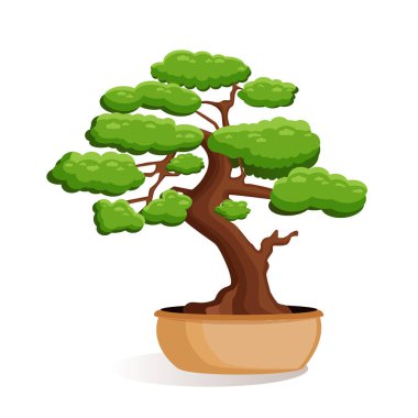 Bonsai ağacının beyaz izole bir arka plandaki bir çömlekteki vektör çizimi. Ev minyatür bonsai bitkisi. Reklam, web sitesi, logo, afiş, kartpostal, oyun, menü, uygulama.