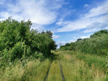 Ormandaki demiryolu manzarası güzel. Ormandaki ağaçların muhteşem yeşil manzarası