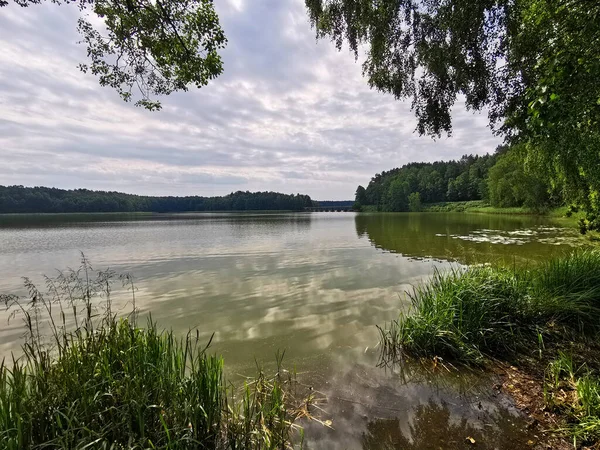 Wonderful Lake View Summer Belarusian Republican Landscape Reserve Lakes — Stock Photo, Image