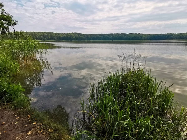 Maravillosa Vista Lago Verano Reserva Paisaje Republicano Bielorruso Lagos — Foto de Stock