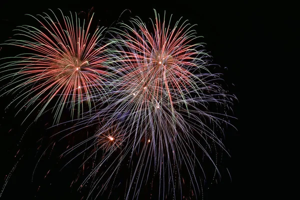 Kırmızı, yeşil, purpure üzerinde havai fişek ünlü gün siyah gece gökyüzünde