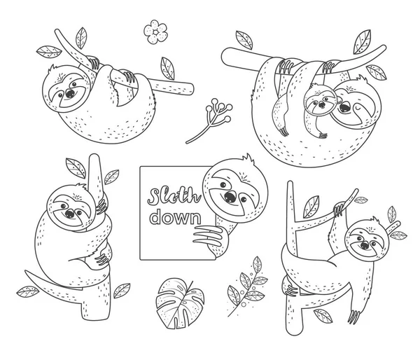 Malvorlagen. Niedliche faulen Faultier hängt am Baum