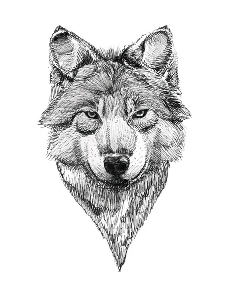 Tinta negra tatuaje mano dibujado lobo retrato —  Fotos de Stock
