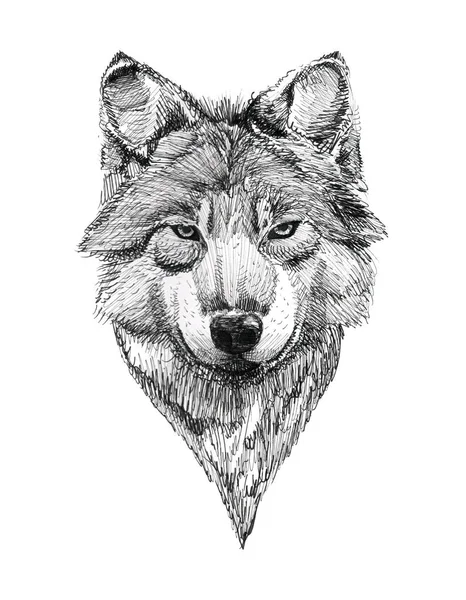 Black Ink Tattoo Hand Drawn Wolf Portrait