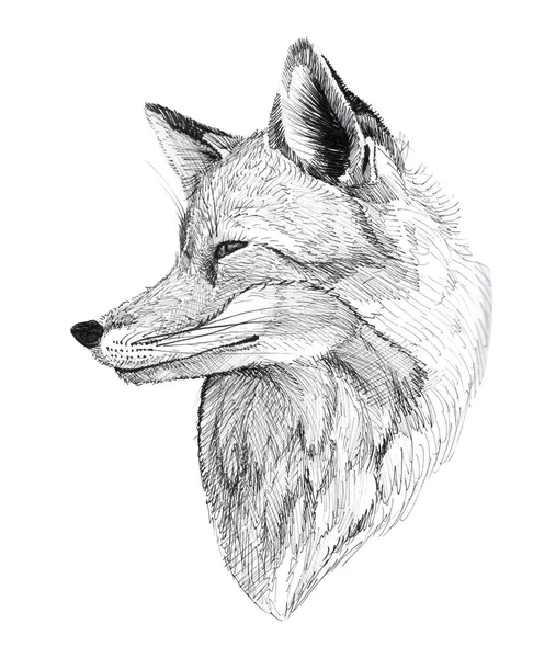 Black Ink Tattoo Hand Drawn Fox Portrait — Stock Photo, Image